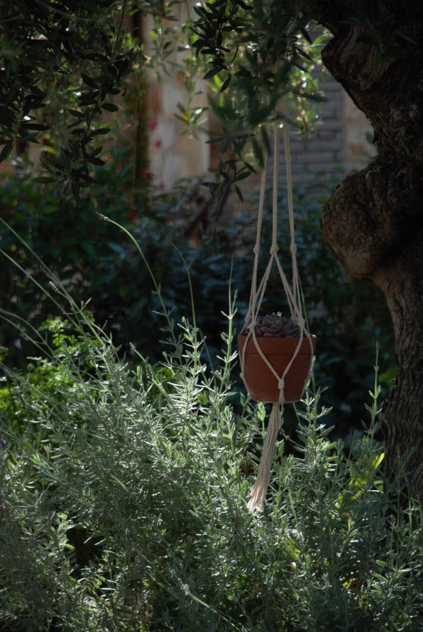Lioriza Country Houses Καλαμάκι Εξωτερικό φωτογραφία